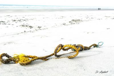 Corde d7 15 004r