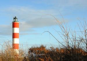 Berck 2011 003ed