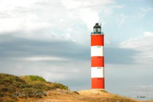 Berck 2013 025ed