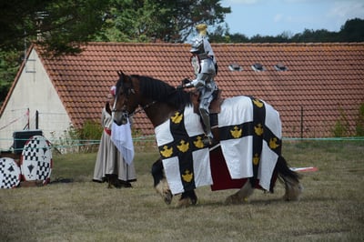 Crecy 2026 011