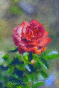 Flore d7 22 124r paint