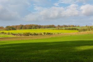 Pays saul d7 21