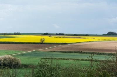 Pays terre 002r